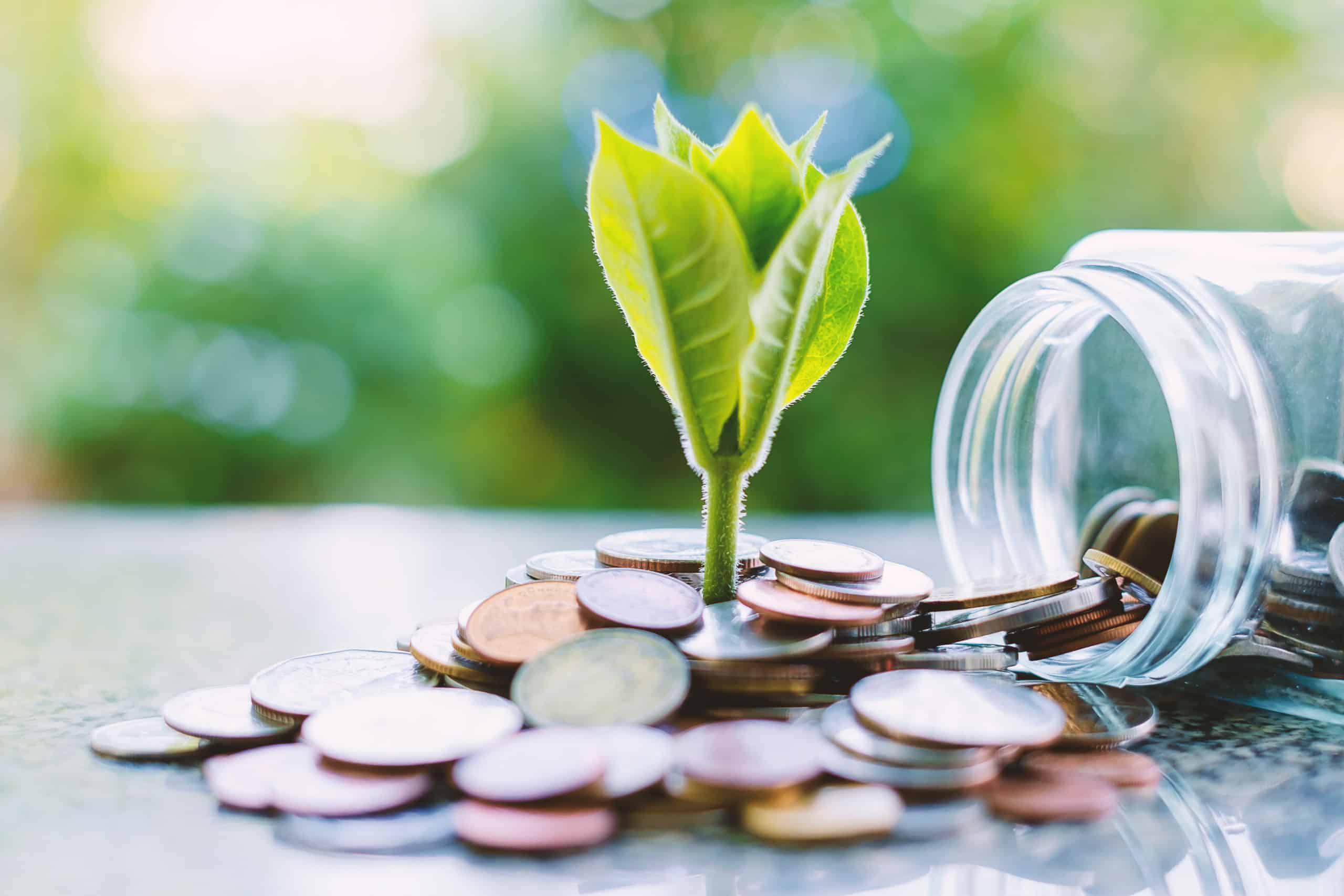 High-Yield Dividend Stocks in Canada for Beginners