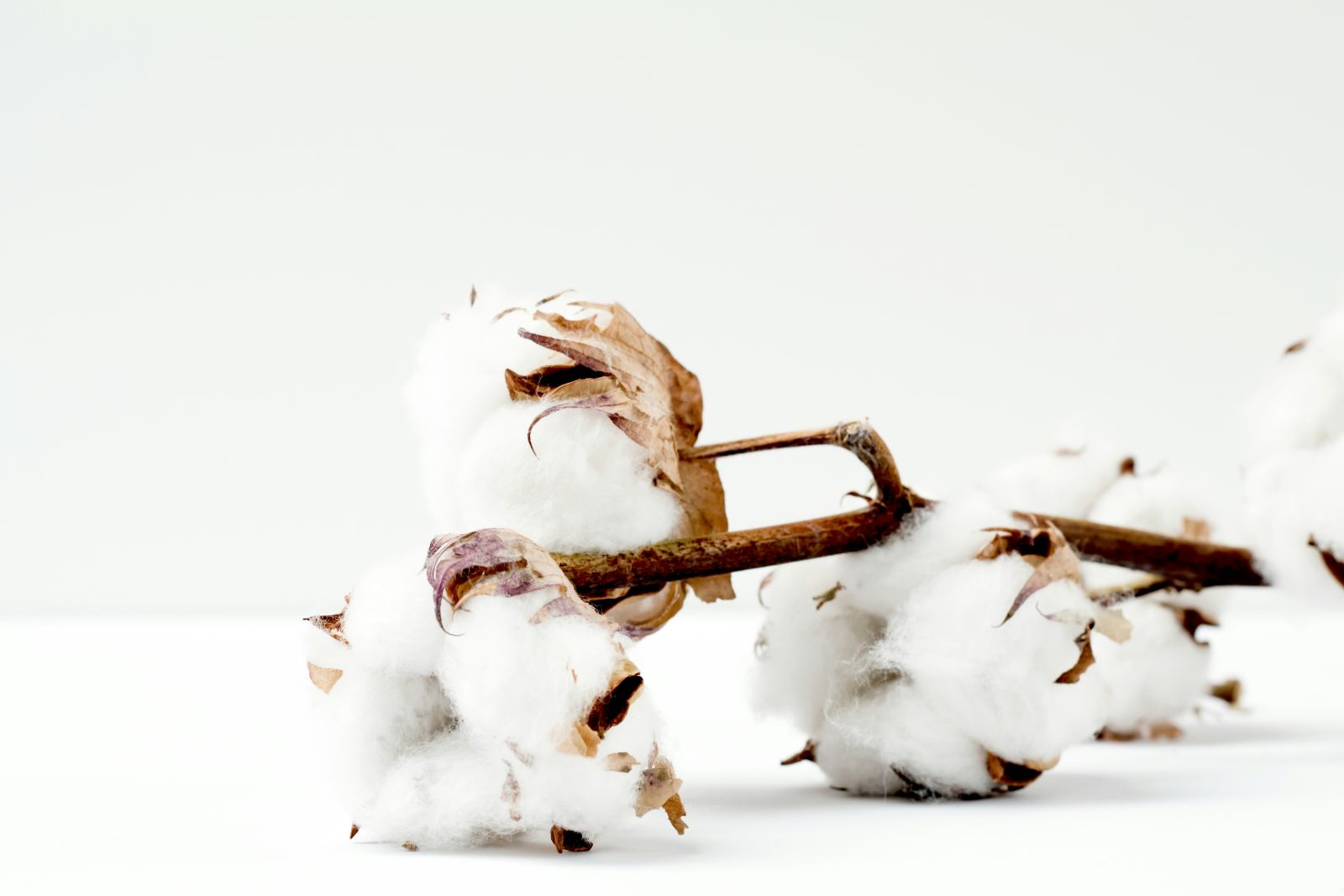 Cotton Slipping Lower on Friday